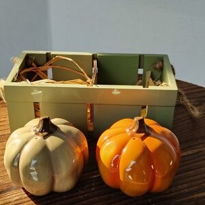 Russ Ceramic Pumpkin Salt and Pepper Shakers Fall Thanksgiving Kitchen Accents